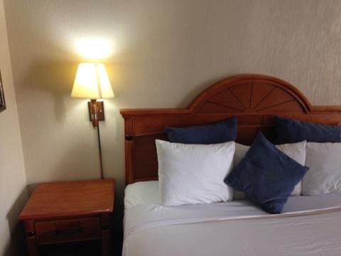 Downtowner Inn And Suites - 休斯敦 外观 照片