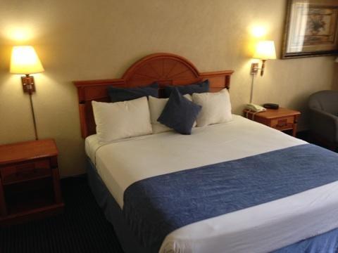 Downtowner Inn And Suites - 休斯敦 外观 照片